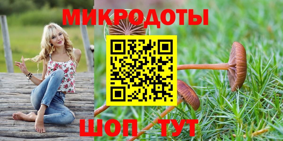 Галлюциногенные грибы Psilocybe  Псилоцибиновые грибы прущие грибы  Нижний Новгород  Вход с VPN 